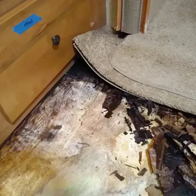 Wood Floor Water Damage in North Caldwell, NJ